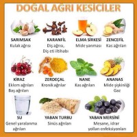 /album/gencay-acar/a1380796-827600067266763-628042543-n-jpg/