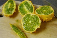 /album/gencay-acar/a1508100-835105766516193-341943425-n-jpg/