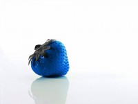 /album/gencay-acar/a10014533-836711779688925-107492004-n-jpg/